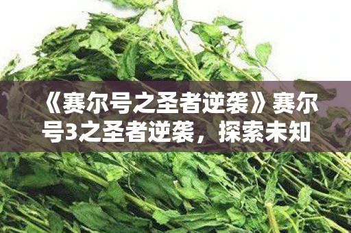 《赛尔号之圣者逆袭》赛尔号3之圣者逆袭，探索未知，决战星际