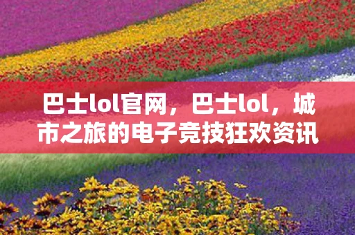 巴士lol官网，巴士lol，城市之旅的电子竞技狂欢资讯频道—探寻电子竞技与城市文化的完美融合