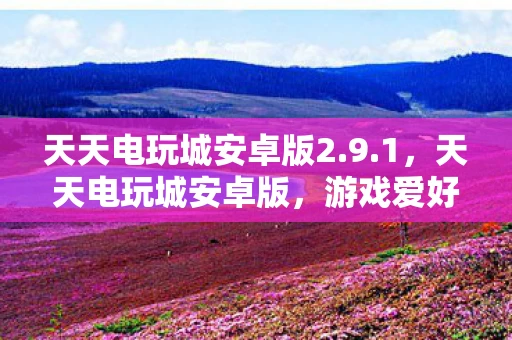 天天电玩城安卓版2.9.1，天天电玩城安卓版，游戏爱好者的乐园