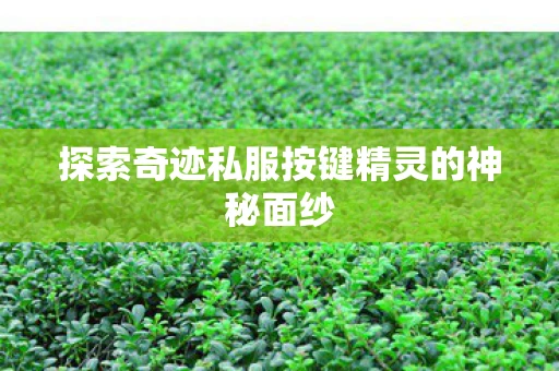 探索奇迹私服按键精灵的神秘面纱