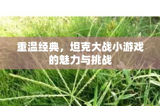 坦克大战小游戏的魅力与挑战图片