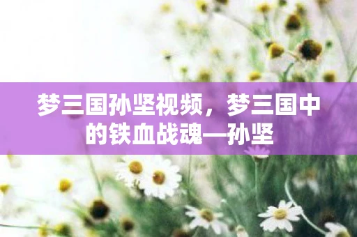 梦三国孙坚视频，梦三国中的铁血战魂—孙坚