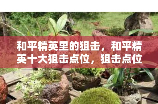 和平精英里的狙击，和平精英十大狙击点位，狙击点位大揭秘