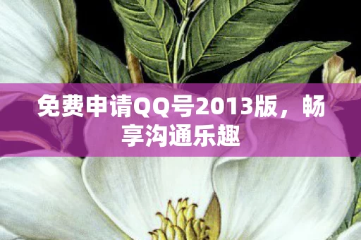 免费申请QQ号2013版图片