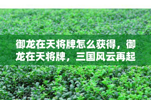 御龙在天将牌怎么获得，御龙在天将牌，三国风云再起资讯频道