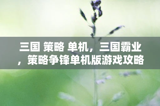 三国 策略 单机，三国霸业，策略争锋单机版游戏攻略
