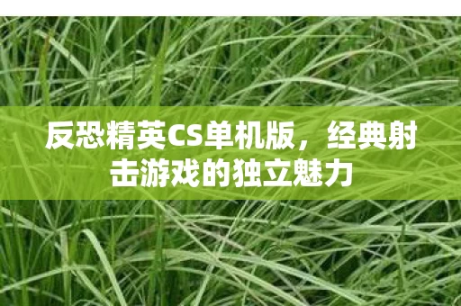 经典射击游戏的独立魅力图片