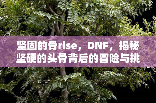 坚固的骨rise，DNF，揭秘坚硬的头骨背后的冒险与挑战