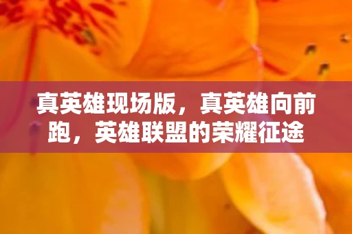 真英雄现场版，真英雄向前跑，英雄联盟的荣耀征途