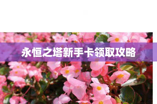 永恒之塔新手卡领取攻略图片