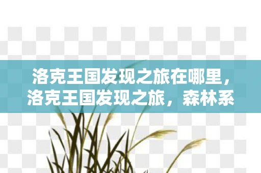 洛克王国发现之旅在哪里，洛克王国发现之旅，森林系列探险记