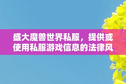 盛大魔兽世界私服,提供或使用私服游戏信息的法律风险 盛大魔兽世界私服,提供或使用私服游戏信息的法律风险