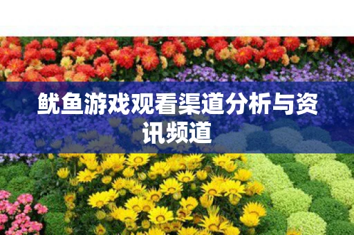 鱿鱼游戏观看渠道分析与资讯频道