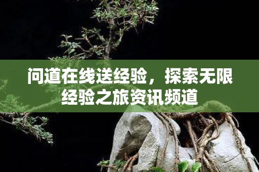 探索无限经验之旅资讯频道图片