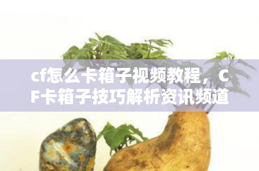 cf怎么卡箱子视频教程，CF卡箱子技巧解析资讯频道手