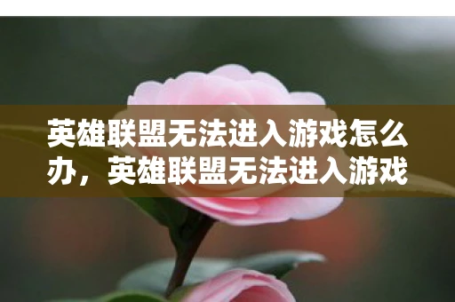 英雄联盟无法进入游戏怎么办，英雄联盟无法进入游戏，排查与解决方案