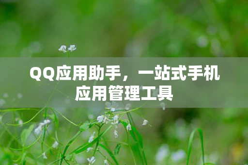 一站式手机应用管理工具图片