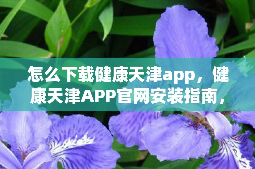 怎么下载健康天津app，健康天津APP官网安装指南，一步步教你如何轻松下载使用