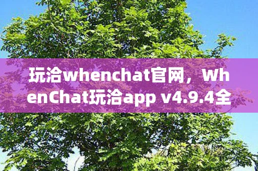 玩洽whenchat官网，WhenChat玩洽app v4.9.4全新体验，社交互动的新纪元