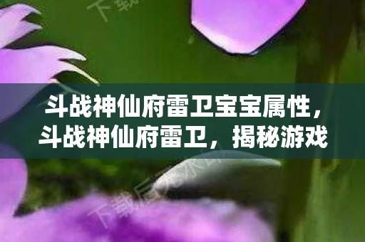 斗战神仙府雷卫宝宝属性，斗战神仙府雷卫，揭秘游戏中的神秘力量