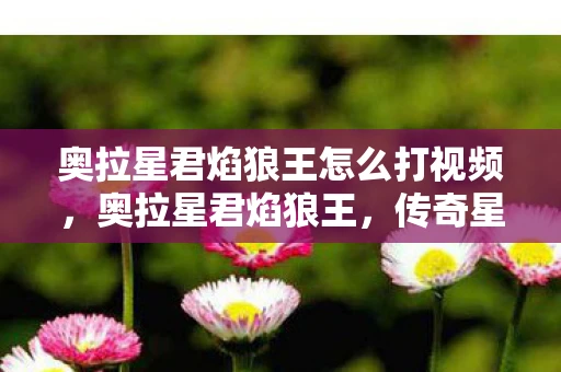 奥拉星君焰狼王怎么打视频，奥拉星君焰狼王，传奇星域中的王者