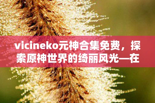vicineko元神合集免费，探索原神世界的绮丽风光—在线观看Vicineko网址下的神秘之旅