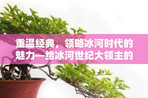 给冰河世纪大领主的建议图片