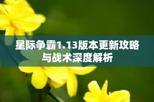 13版本更新攻略与战术深度解析图片