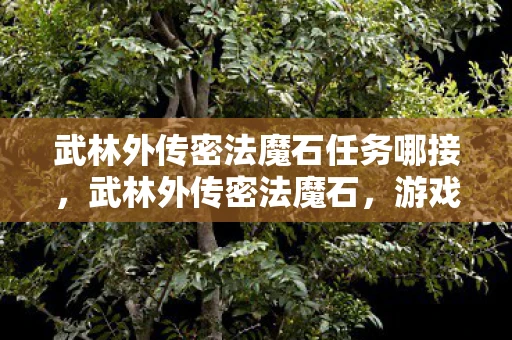 武林外传密法魔石任务哪接,武林外传密法魔石,游戏玩法与解析 武林外传密法魔石任务哪接,武林外传密法魔石,游戏玩法与解析