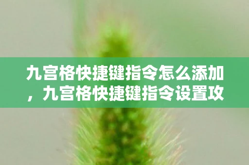 九宫格快捷键指令怎么添加,九宫格快捷键指令设置攻略,高效操作,轻松上手 九宫格快捷键指令怎么添加,九宫格快捷键指令设置攻略,高效操作,轻松上手