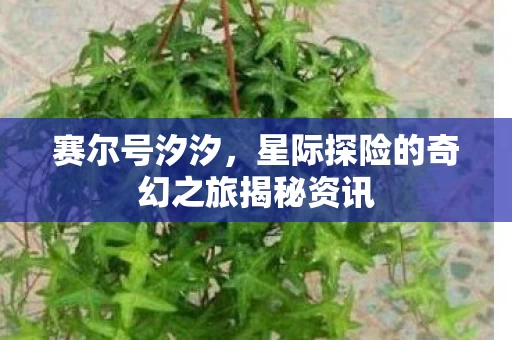 星际探险的奇幻之旅揭秘资讯图片