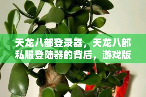 天龙八部登录器，天龙八部私服登陆器的背后，游戏版权与非法行为的探讨