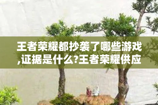 王者荣耀都抄袭了哪些游戏,证据是什么?王者荣耀供应商回应抄袭事件分析
