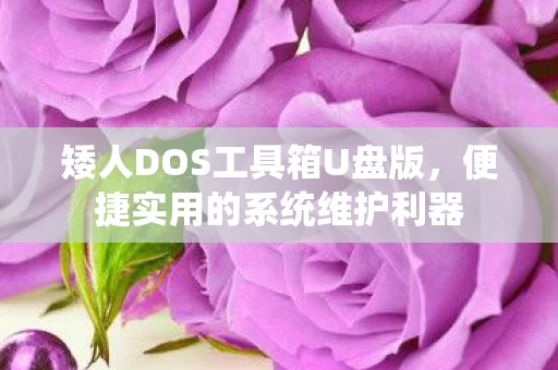 矮人DOS工具箱U盘版图片