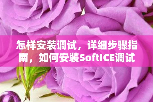 怎样安装调试，详细步骤指南，如何安装SoftICE调试器