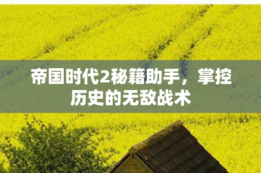 帝国时代2秘籍助手图片