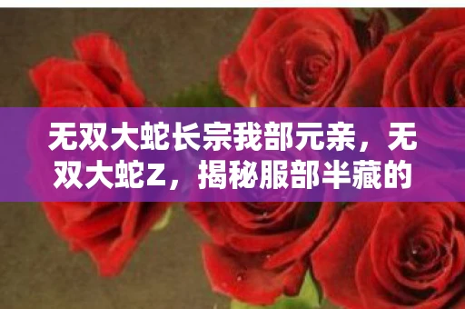 无双大蛇长宗我部元亲,无双大蛇Z,揭秘服部半藏的游戏传奇 无双大蛇长宗我部元亲,无双大蛇Z,揭秘服部半藏的游戏传奇