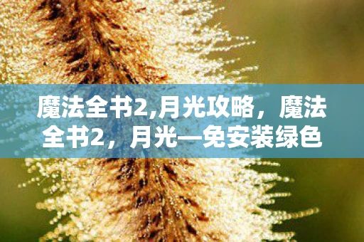 魔法全书2,月光攻略，魔法全书2，月光—免安装绿色版