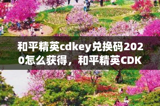 和平精英cdkey兑换码2020怎么获得,和平精英CDKEY兑换码领取攻略(2020版) 和平精英cdkey兑换码2020怎么获得,和平精英CDKEY兑换码领取攻略(2020版)