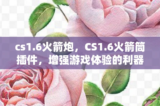 cs1.6火箭炮，CS1.6火箭筒插件，增强游戏体验的利器