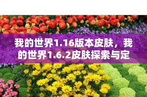 我的世界1.16版本皮肤，我的世界1.6.2皮肤探索与定制