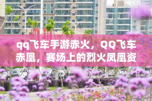 qq飞车手游赤火，QQ飞车赤凰，赛场上的烈火凤凰资讯频道手