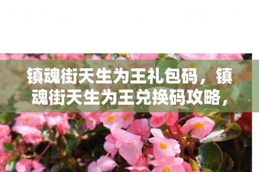 镇魂街天生为王礼包码，镇魂街天生为王兑换码攻略，如何轻松获取兑换码