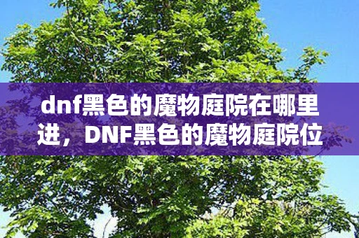 dnf黑色的魔物庭院在哪里进,DNF黑色的魔物庭院位置解析—寻找神秘的地下城所在 dnf黑色的魔物庭院在哪里进,DNF黑色的魔物庭院位置解析—寻找神秘的地下城所在