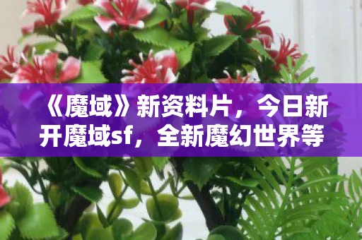 《魔域》新资料片，今日新开魔域sf，全新魔幻世界等你来探索