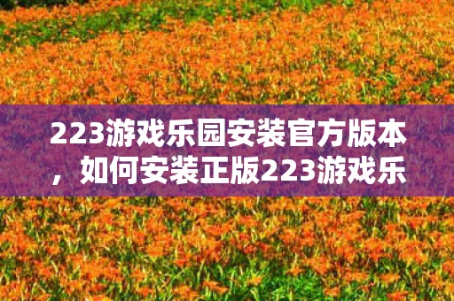 223游戏乐园安装官方版本,如何安装正版223游戏乐园最新版?详细步骤解析 223游戏乐园安装官方版本,如何安装正版223游戏乐园最新版?详细步骤解析