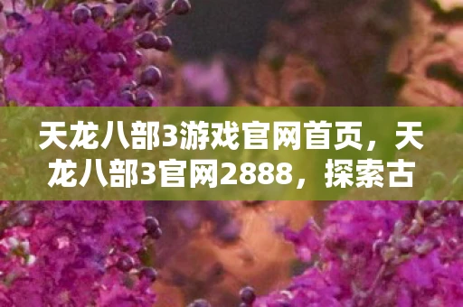 天龙八部3游戏官网首页,天龙八部3官网2888,探索古代武侠世界的全新篇章 天龙八部3游戏官网首页,天龙八部3官网2888,探索古代武侠世界的全新篇章