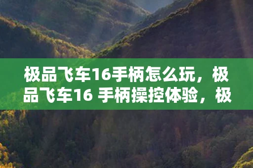 极品飞车16手柄怎么玩,极品飞车16 手柄操控体验,极速驰骋的驾驶之旅 极品飞车16手柄怎么玩,极品飞车16 手柄操控体验,极速驰骋的驾驶之旅