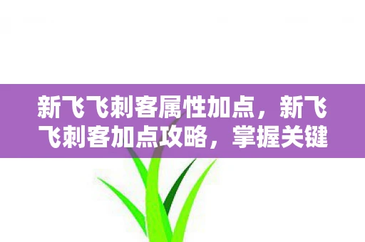 新飞飞刺客属性加点，新飞飞刺客加点攻略，掌握关键技能，成为无敌刺客