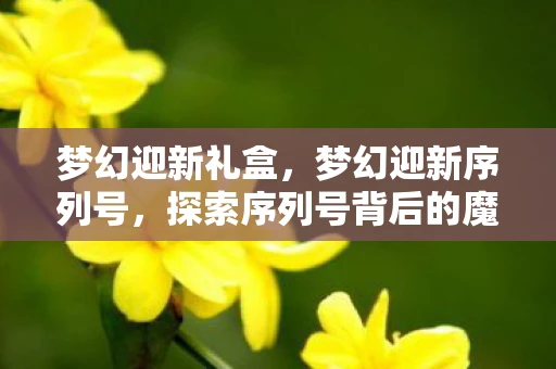 梦幻迎新礼盒，梦幻迎新序列号，探索序列号背后的魔法世界